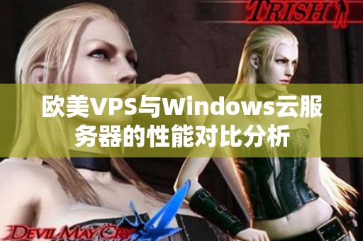欧美VPS与Windows云服务器的性能对比分析