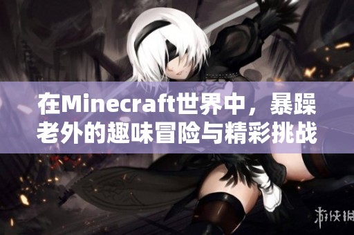 在Minecraft世界中，暴躁老外的趣味冒险与精彩挑战