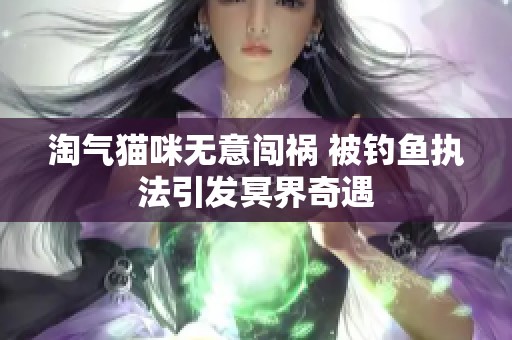 淘气猫咪无意闯祸 被钓鱼执法引发冥界奇遇