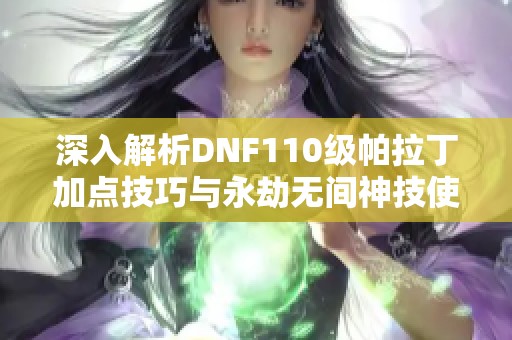 深入解析DNF110级帕拉丁加点技巧与永劫无间神技使用攻略