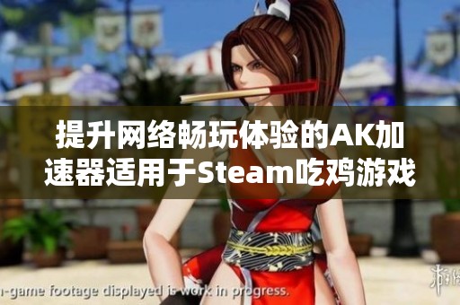 提升网络畅玩体验的AK加速器适用于Steam吃鸡游戏