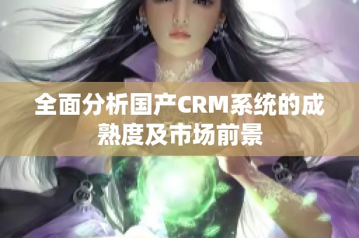 全面分析国产CRM系统的成熟度及市场前景