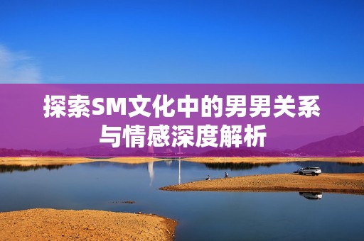 探索SM文化中的男男关系与情感深度解析