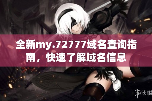 全新my.72777域名查询指南，快速了解域名信息