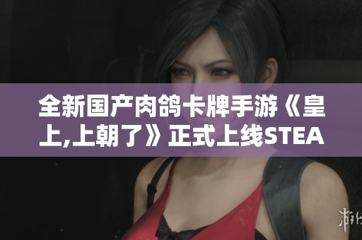 全新国产肉鸽卡牌手游《皇上,上朝了》正式上线STEAM平台！
