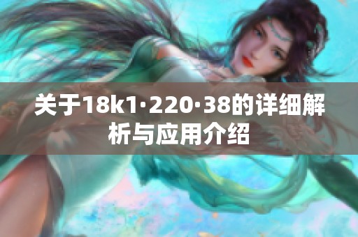 关于18k1·220·38的详细解析与应用介绍