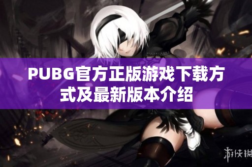 PUBG官方正版游戏下载方式及最新版本介绍