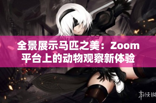 全景展示马匹之美：Zoom平台上的动物观察新体验