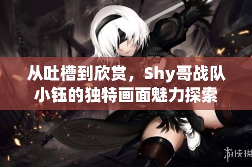 从吐槽到欣赏，Shy哥战队小钰的独特画面魅力探索