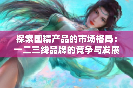 探索国精产品的市场格局：一二三线品牌的竞争与发展