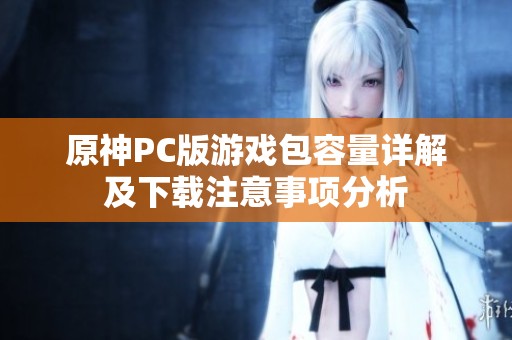 原神PC版游戏包容量详解及下载注意事项分析