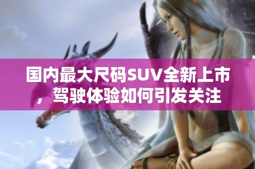 国内最大尺码SUV全新上市，驾驶体验如何引发关注