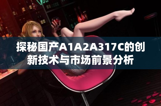 探秘国产A1A2A317C的创新技术与市场前景分析