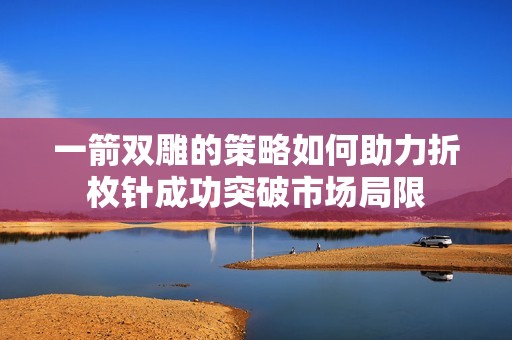 一箭双雕的策略如何助力折枚针成功突破市场局限