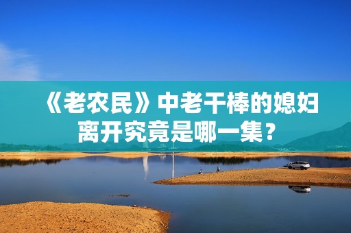 《老农民》中老干棒的媳妇离开究竟是哪一集？