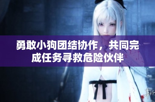 勇敢小狗团结协作，共同完成任务寻救危险伙伴