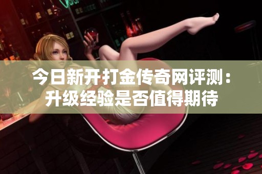 今日新开打金传奇网评测：升级经验是否值得期待
