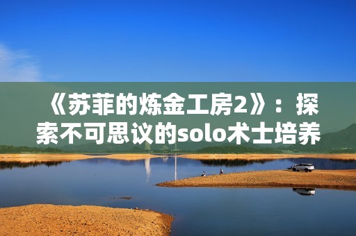 《苏菲的炼金工房2》：探索不可思议的solo术士培养技巧与心得分享