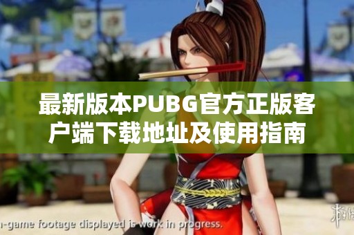 最新版本PUBG官方正版客户端下载地址及使用指南