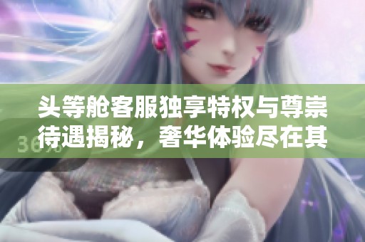 头等舱客服独享特权与尊崇待遇揭秘，奢华体验尽在其中