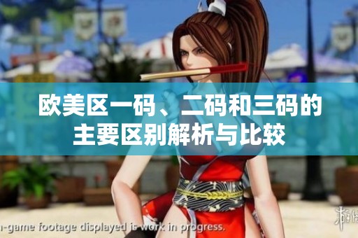 欧美区一码、二码和三码的主要区别解析与比较