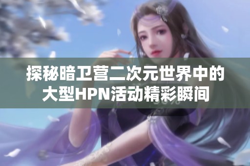 探秘暗卫营二次元世界中的大型HPN活动精彩瞬间