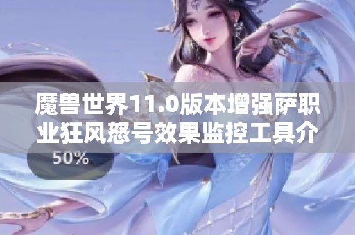 魔兽世界11.0版本增强萨职业狂风怒号效果监控工具介绍