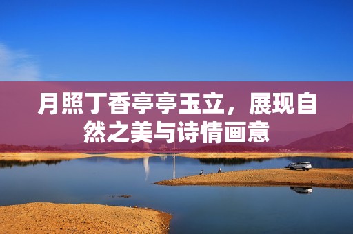 月照丁香亭亭玉立，展现自然之美与诗情画意
