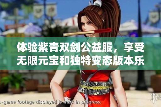 体验紫青双剑公益服，享受无限元宝和独特变态版本乐趣