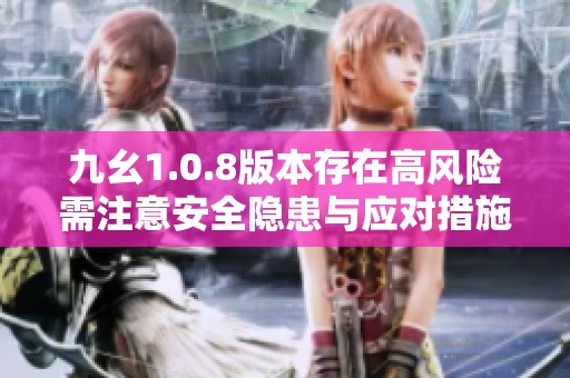 九幺1.0.8版本存在高风险需注意安全隐患与应对措施