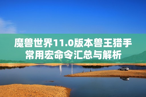 魔兽世界11.0版本兽王猎手常用宏命令汇总与解析