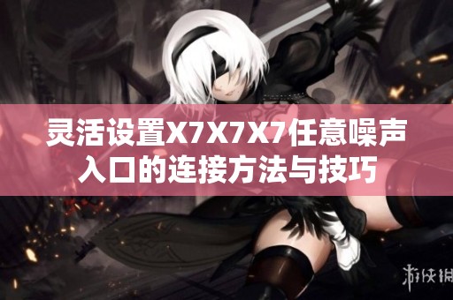 灵活设置X7X7X7任意噪声入口的连接方法与技巧