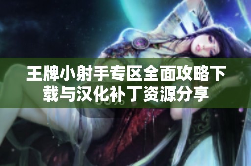 王牌小射手专区全面攻略下载与汉化补丁资源分享