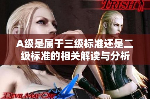 A级是属于三级标准还是二级标准的相关解读与分析