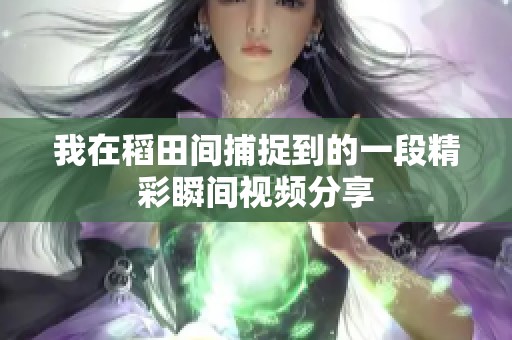 我在稻田间捕捉到的一段精彩瞬间视频分享