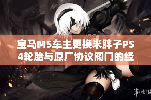 宝马M5车主更换米胖子PS4轮胎与原厂协议阀门的经历分享