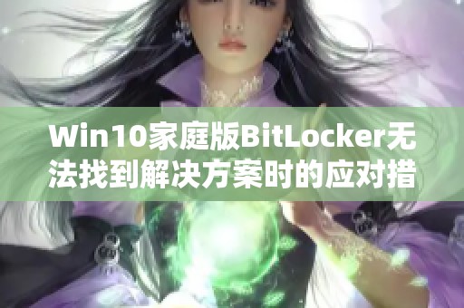Win10家庭版BitLocker无法找到解决方案时的应对措施解析