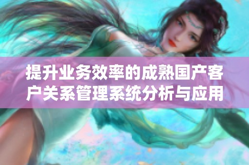 提升业务效率的成熟国产客户关系管理系统分析与应用