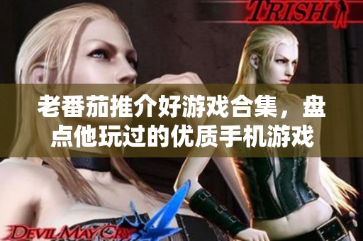 老番茄推介好游戏合集，盘点他玩过的优质手机游戏
