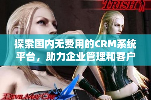 探索国内无费用的CRM系统平台，助力企业管理和客户关系优化