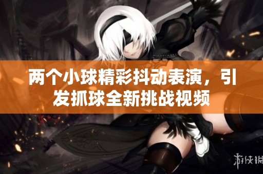 两个小球精彩抖动表演，引发抓球全新挑战视频