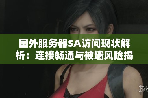 国外服务器SA访问现状解析：连接畅通与被墙风险揭秘