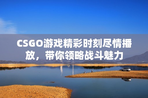 CSGO游戏精彩时刻尽情播放，带你领略战斗魅力