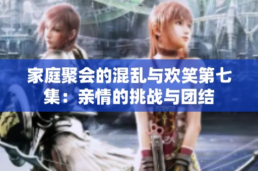 家庭聚会的混乱与欢笑第七集：亲情的挑战与团结