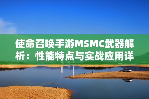 使命召唤手游MSMC武器解析：性能特点与实战应用详解