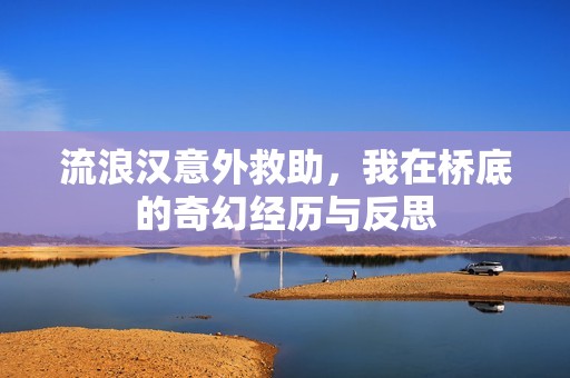 流浪汉意外救助，我在桥底的奇幻经历与反思