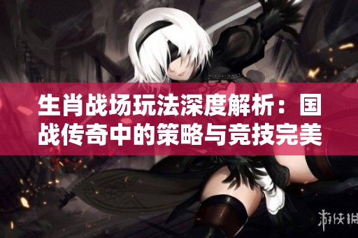 生肖战场玩法深度解析：国战传奇中的策略与竞技完美融合