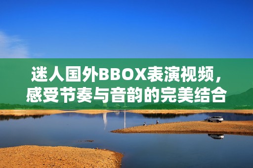 迷人国外BBOX表演视频，感受节奏与音韵的完美结合