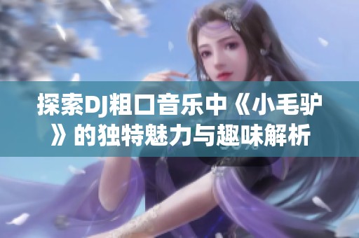 探索DJ粗口音乐中《小毛驴》的独特魅力与趣味解析