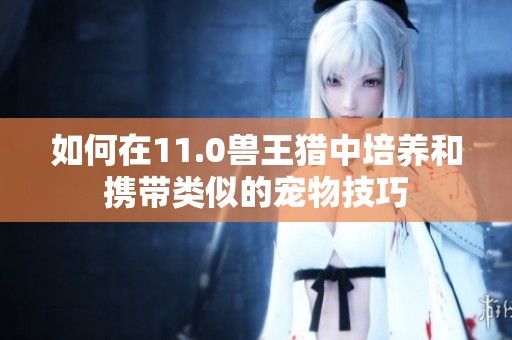 如何在11.0兽王猎中培养和携带类似的宠物技巧